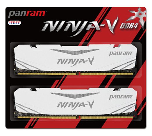 Les Ninja-V débarquent en DDR-4 chez Panram