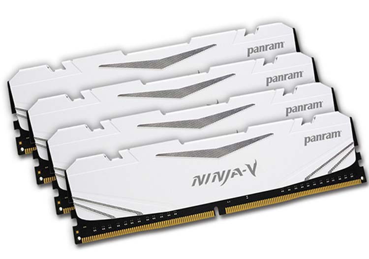 Annonce de la DDR4 Ninja V chez Panram