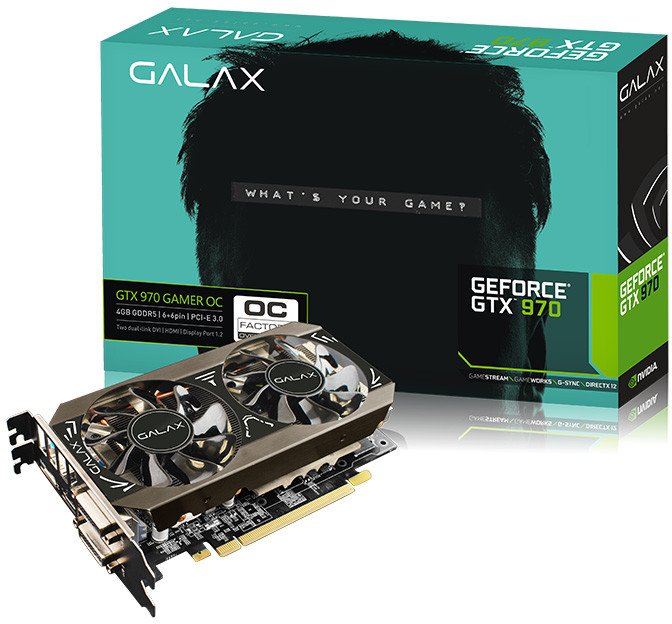 Galax : paint it black