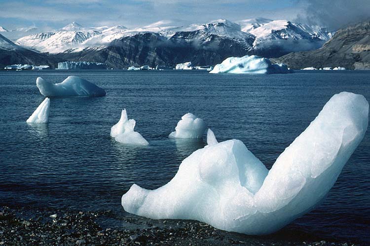 Nom de Code Arctic Islands, AMD R9 400