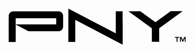 Quatre séries de SSD chez PNY