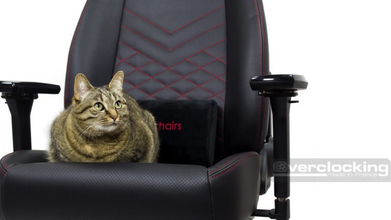 Test : noblechairs Icon