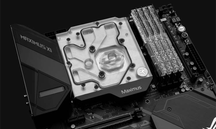 Maximus XI Extreme : la carte d&rsquo;Asus watercoolée par EKWB