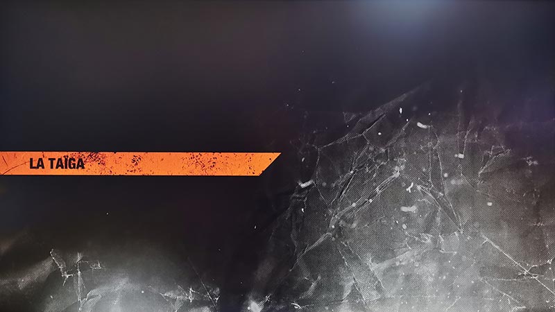 Capture benchmark Metro