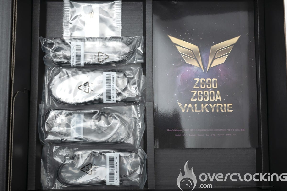 Biostar Z690A Valkyrie bundle