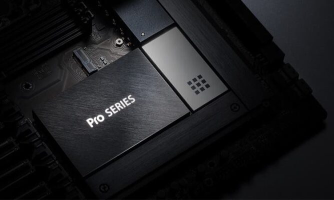 Asus Pro Series WS790 ?