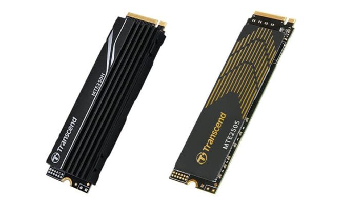 Transcend MTE250
