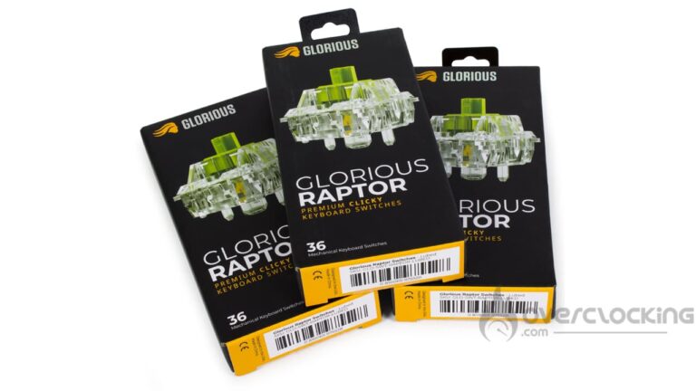 Test : Glorious Raptor