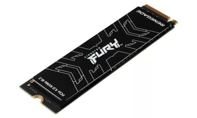Kingston Fury Renegade 