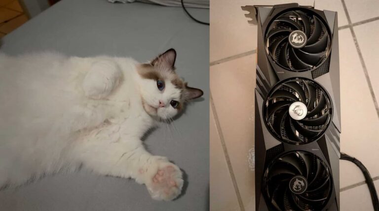 Le chat évite le pire au PC de son propriétaire !