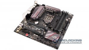 test Maximus VIII Gene 7