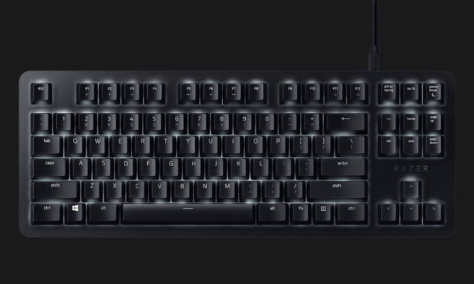 Razer Blackwidow Lite